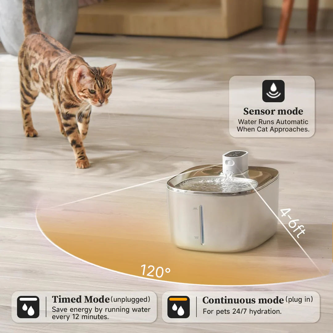 PureFlow Fountain – Fresh, Filtered Water for a Healthier Cat