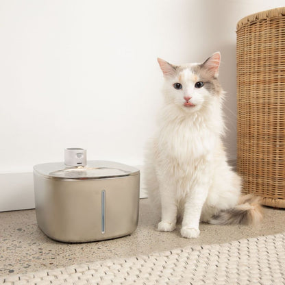 PureFlow Fountain – Fresh, Filtered Water for a Healthier Cat