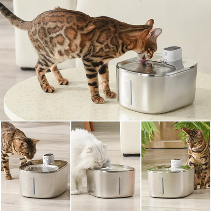PureFlow Fountain – Fresh, Filtered Water for a Healthier Cat