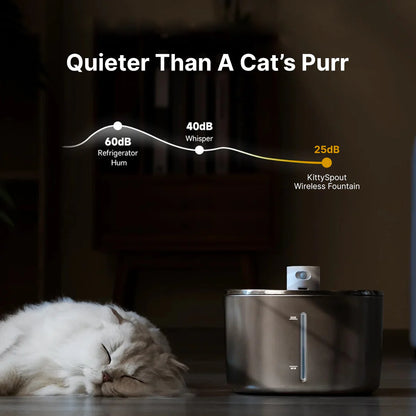 PureFlow Fountain – Fresh, Filtered Water for a Healthier Cat