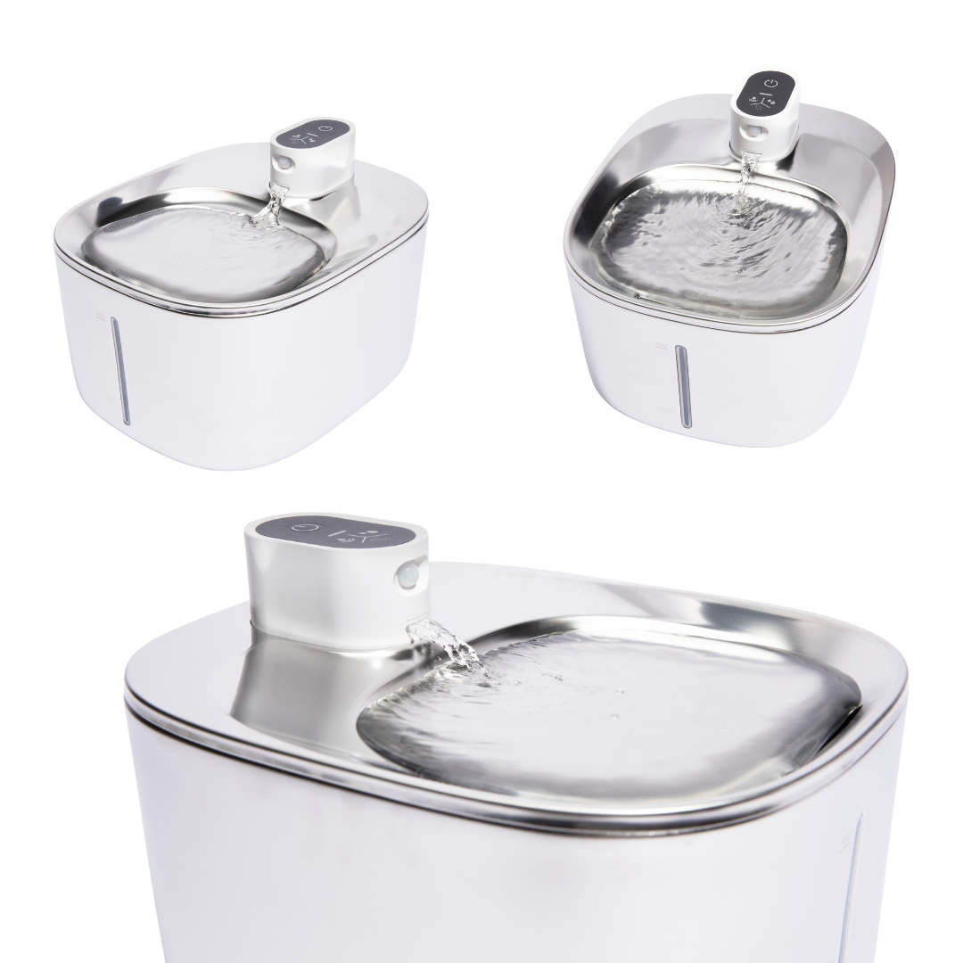 PureFlow Fountain – Fresh, Filtered Water for a Healthier Cat